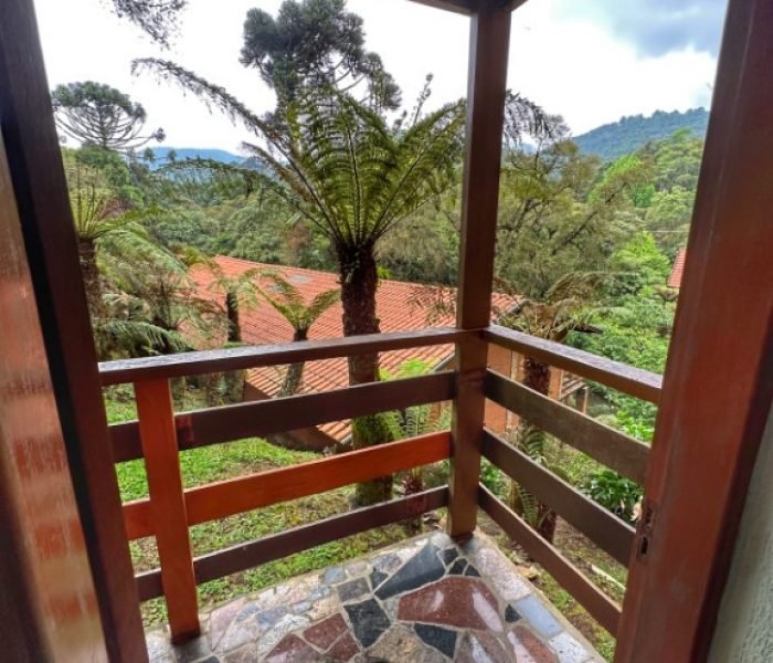 chale05_piao_mineiro2