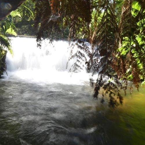 jadrim_externo_piao_mineiro11