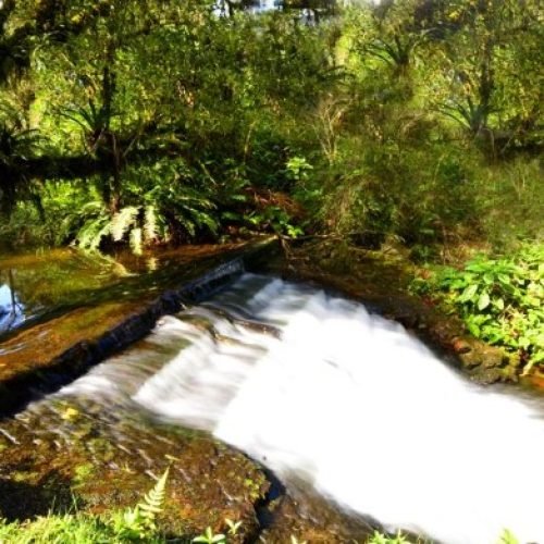 jadrim_externo_piao_mineiro12