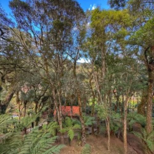 jadrim_externo_piao_mineiro3