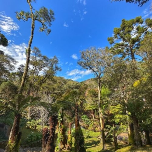 jadrim_externo_piao_mineiro5