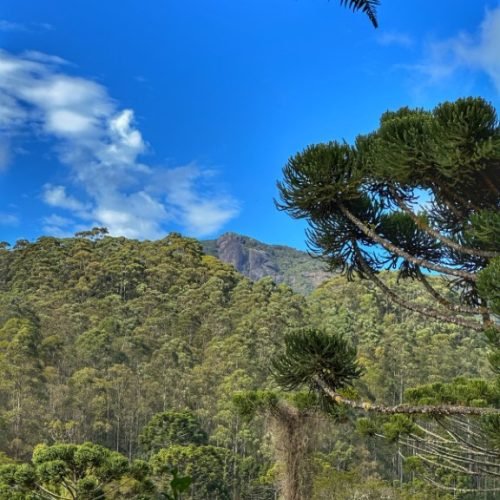 jadrim_externo_piao_mineiro8