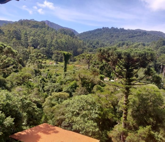 suite17_piao_mineiro4